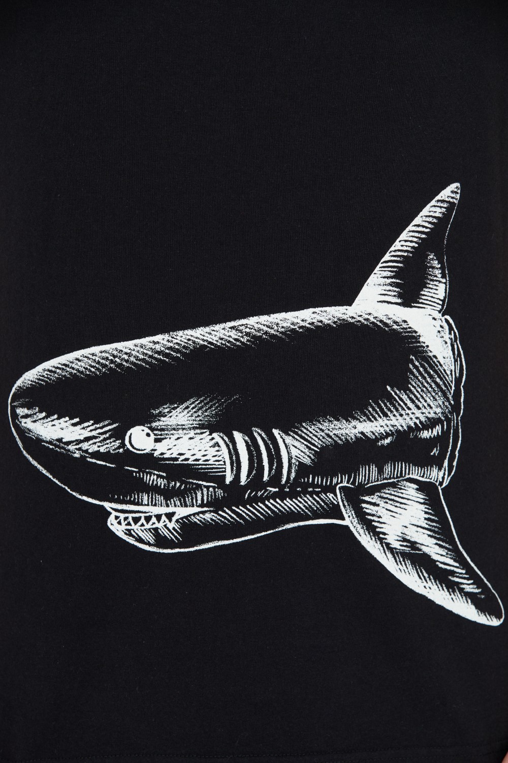 PALM ANGELS Чорна футболка з акулою Black Broken Shark